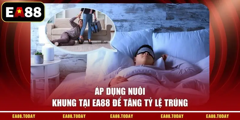 Áp dụng nuôi khung tại EA88 để tăng tỷ lệ trúng