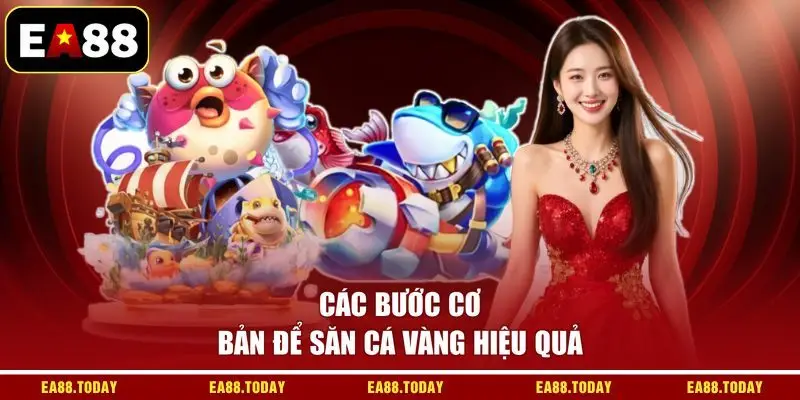 Các bước cơ bản để săn cá vàng hiệu quả
