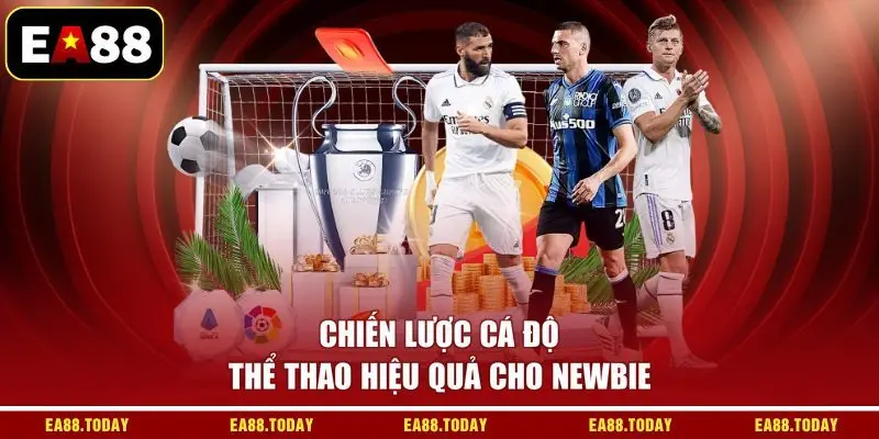 Chiến lược cá độ thể thao hiệu quả cho newbie