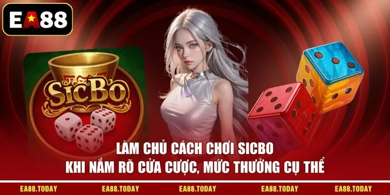 Làm chủ cách chơi Sicbo khi nắm rõ cửa cược, mức thưởng cụ thể
