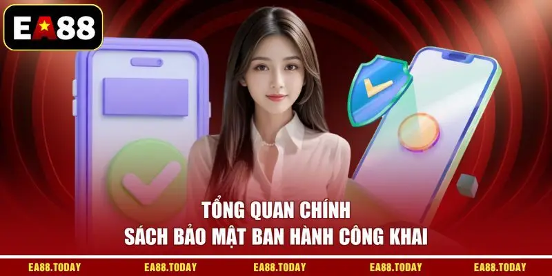 Tổng quan chính sách bảo mật ban hành công khai