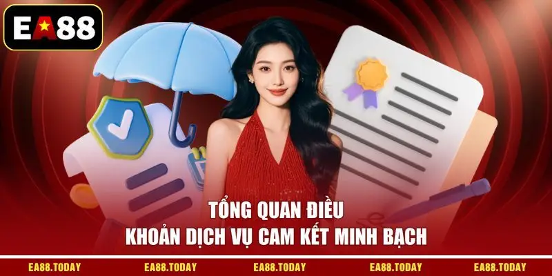 Tổng quan điều khoản dịch vụ cam kết minh bạch